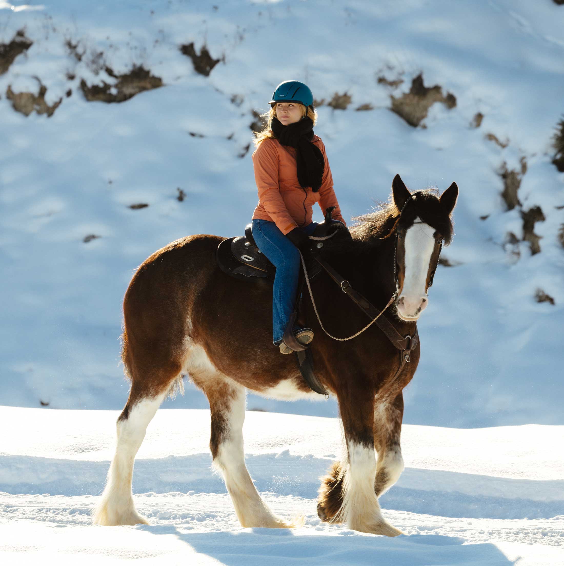 rider on a clydesdale