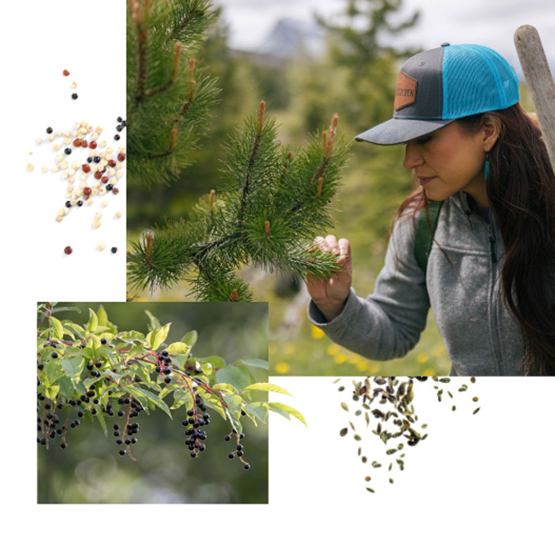 montana river guides