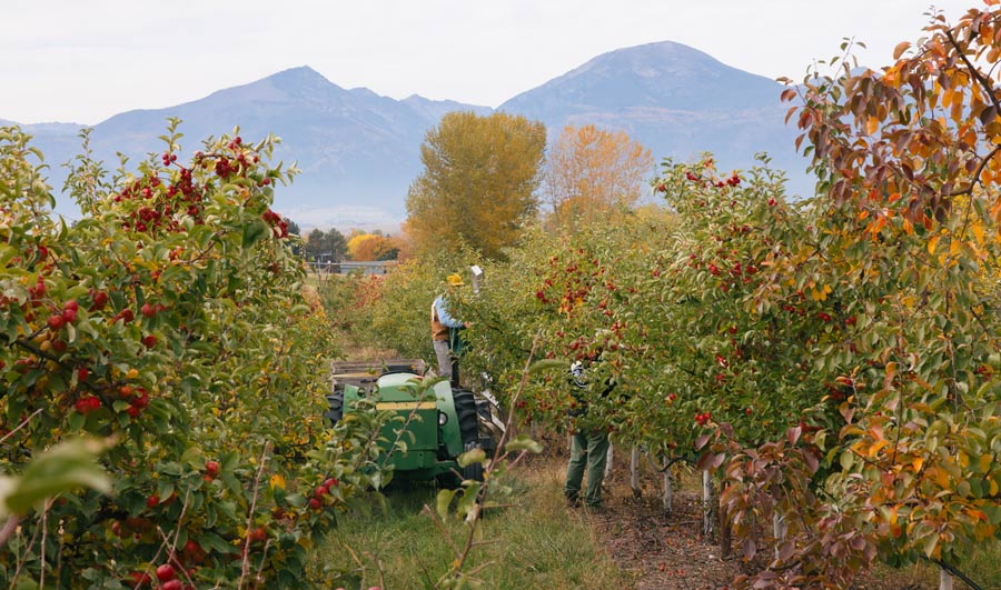 Whitewater Rafting Guides