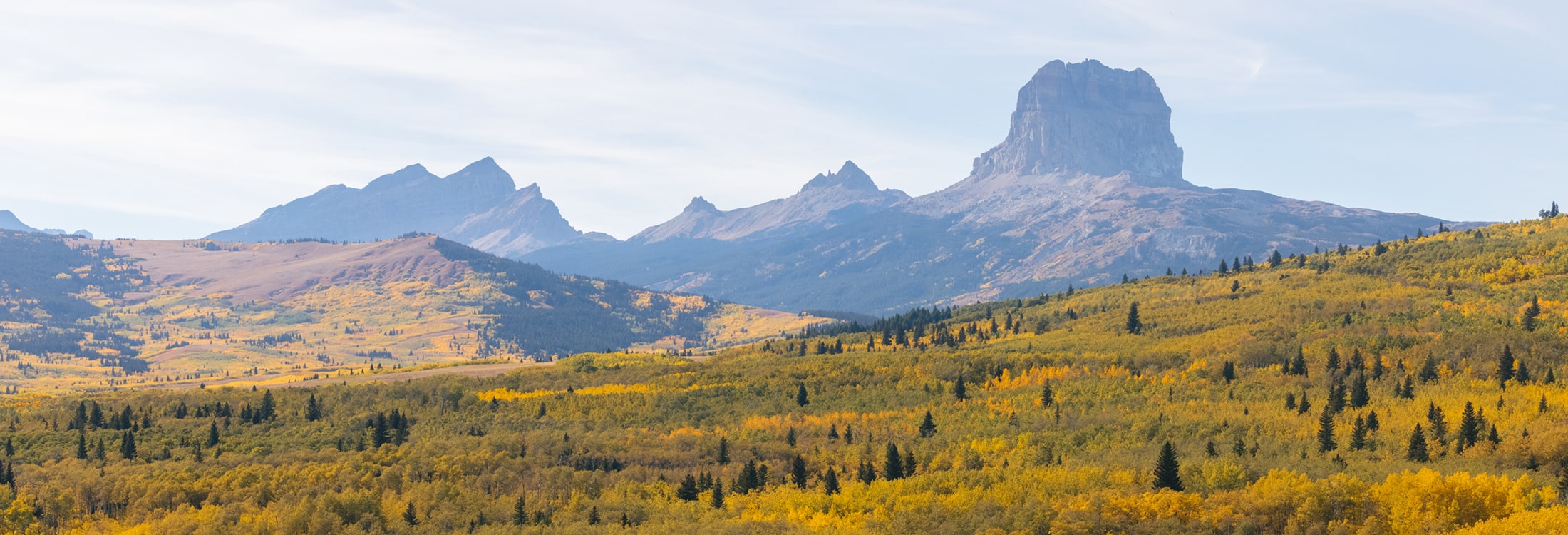 International Border Crossings