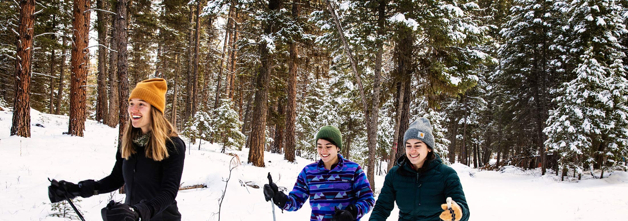 Cross-Country Skiing