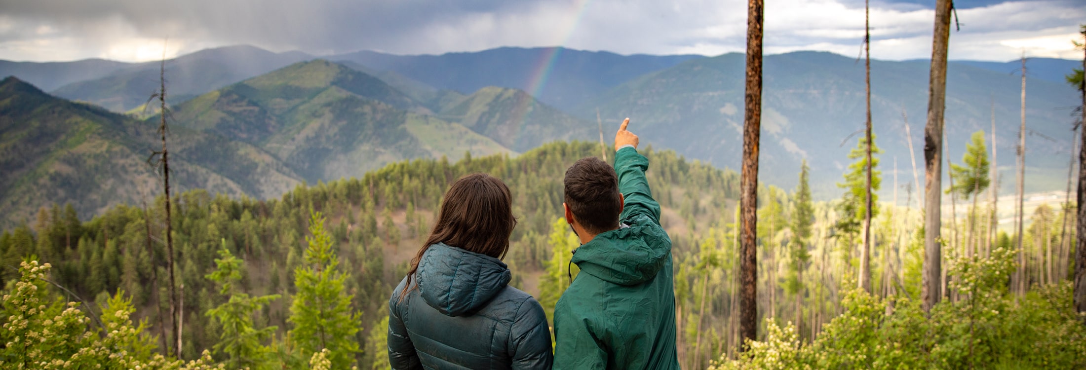 State & National Forests