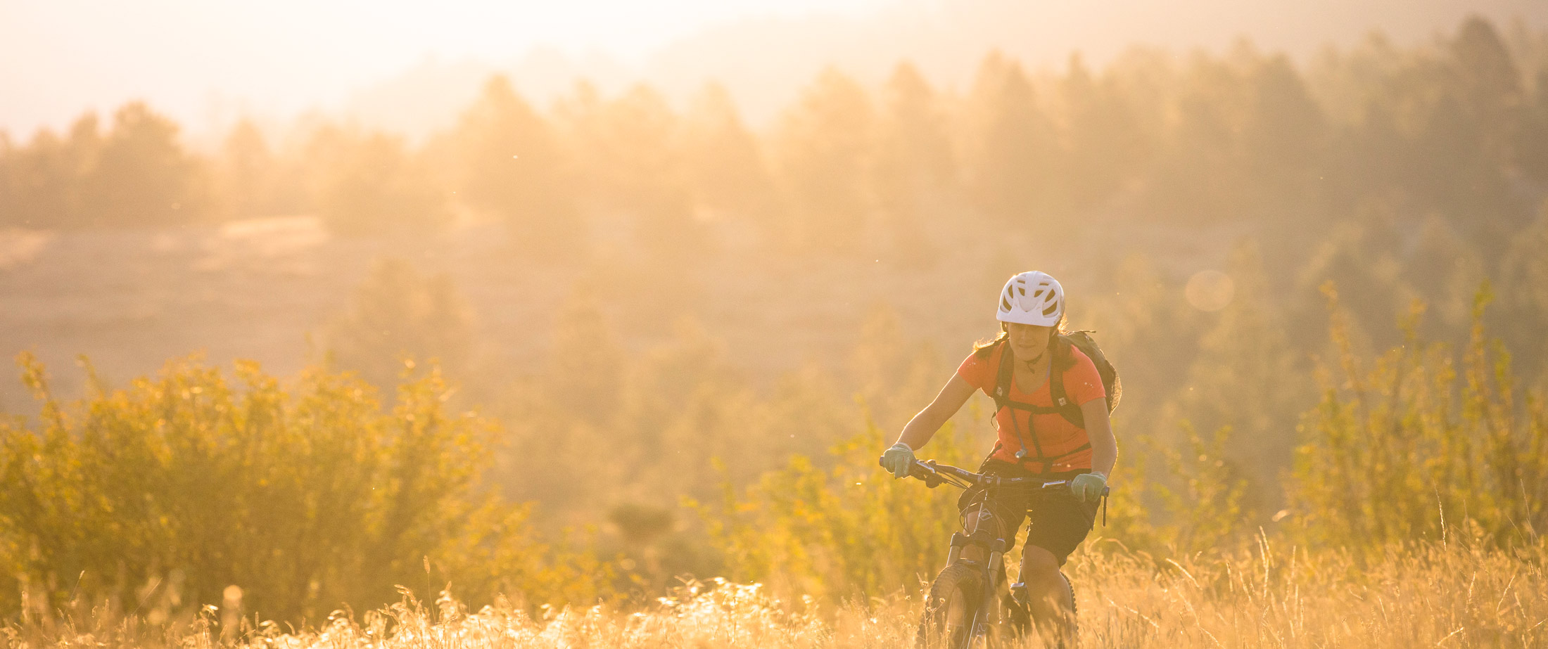 Things to Do in the Fall