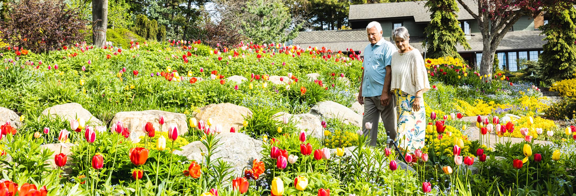 Things to Do in the Spring