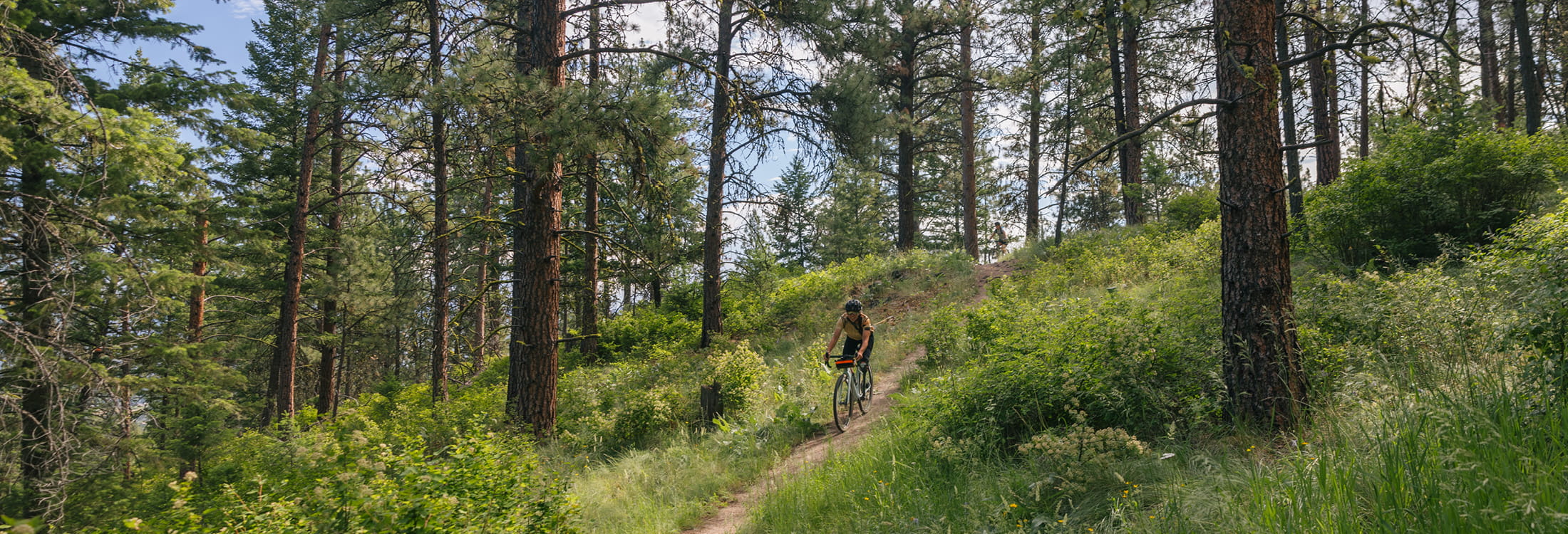 Things to Do in the Summer