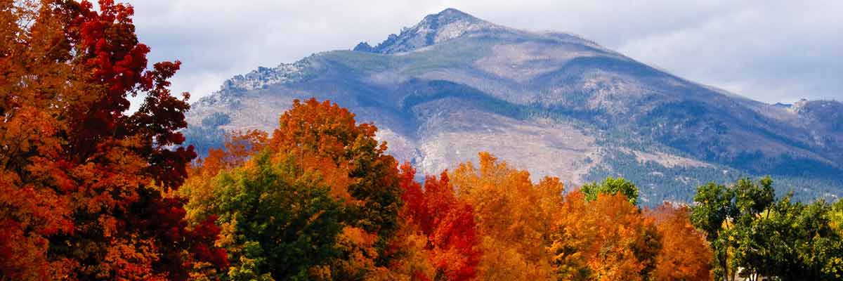Fall foliage in Western Montana's Bitterroot Valley is beautiful.